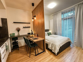 Brno - Mendel square apartment